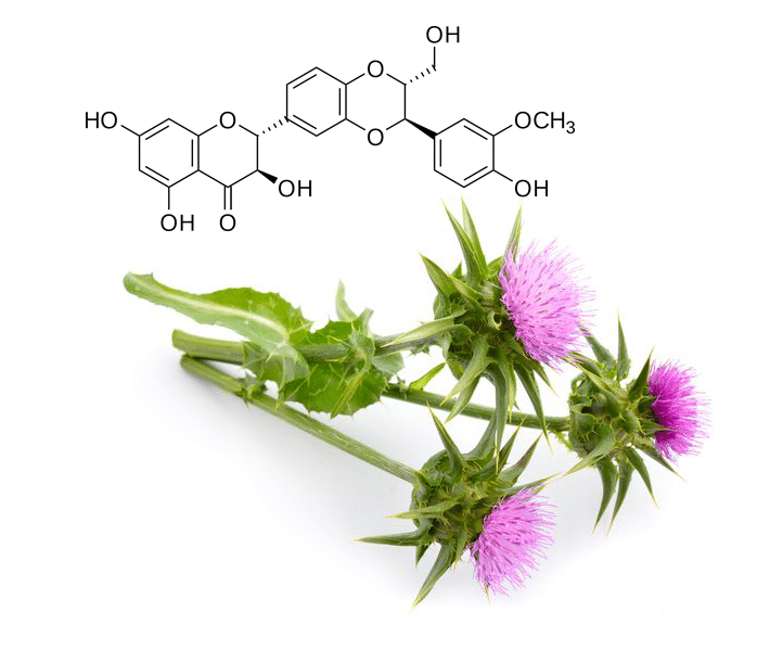 Liver Prot‌ect 15000mg