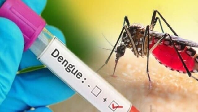 Sốt xuất huyết Dengue - Những điều cần biết về bệnh nguy hiểm này và cách phòng tránh hiệu quả Sốt xuất huyết Dengue