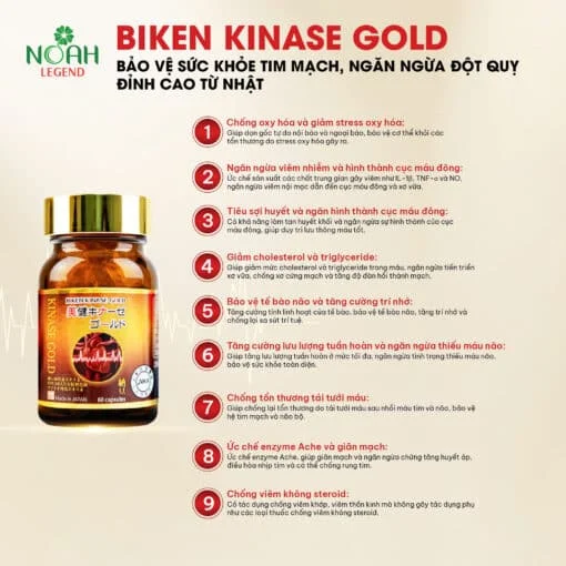BIKEN KINASE GOLD Nhật Bản - Hỗ Trợ Lưu Thông Máu, Phòng Ngừa Đột Quỵ Hiệu Quả (Hộp 60 viên) 2 BIKEN KINASE GOLD Nhật Bản - Hỗ Trợ Lưu Thông Máu, Phòng Ngừa Đột Quỵ Hiệu Quả (Hộp 60 viên) - Ảnh 2
