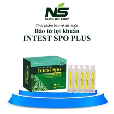 Bào tử lợi khuẩn Intest Spo Plus - Bổ sung lợi khuẩn cho đường ruột, giúp cải thiện hệ tiêu hóa (Hộp 4 vỉ x 5 ống)